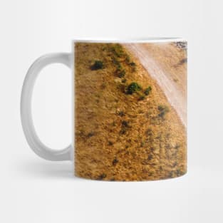 River Aerial Mug